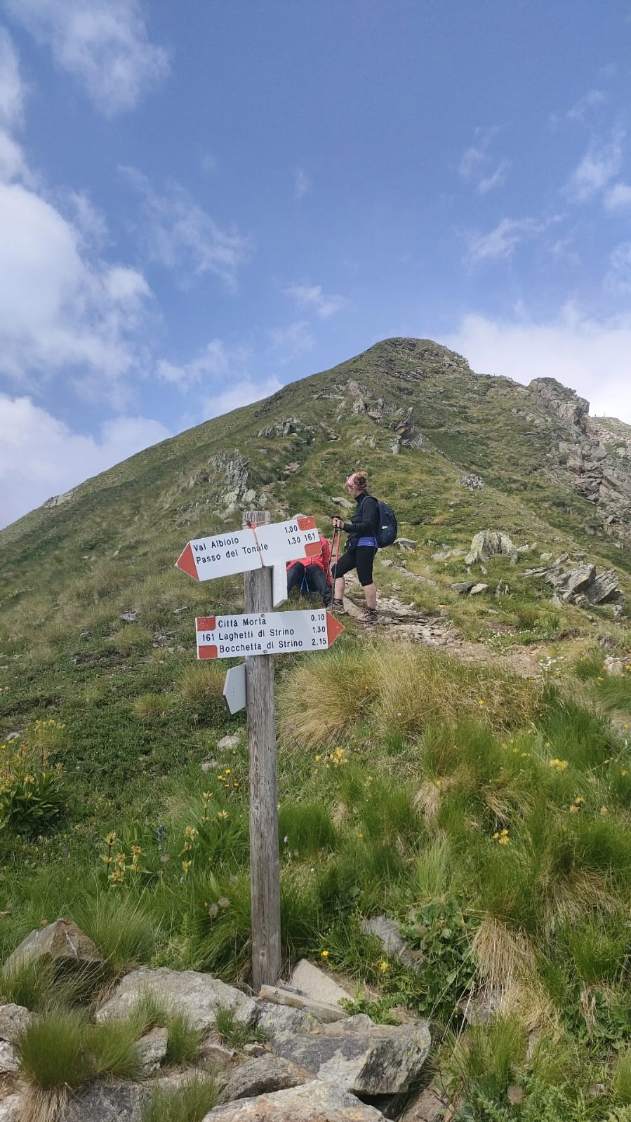 Verso il Tonale Occidentale